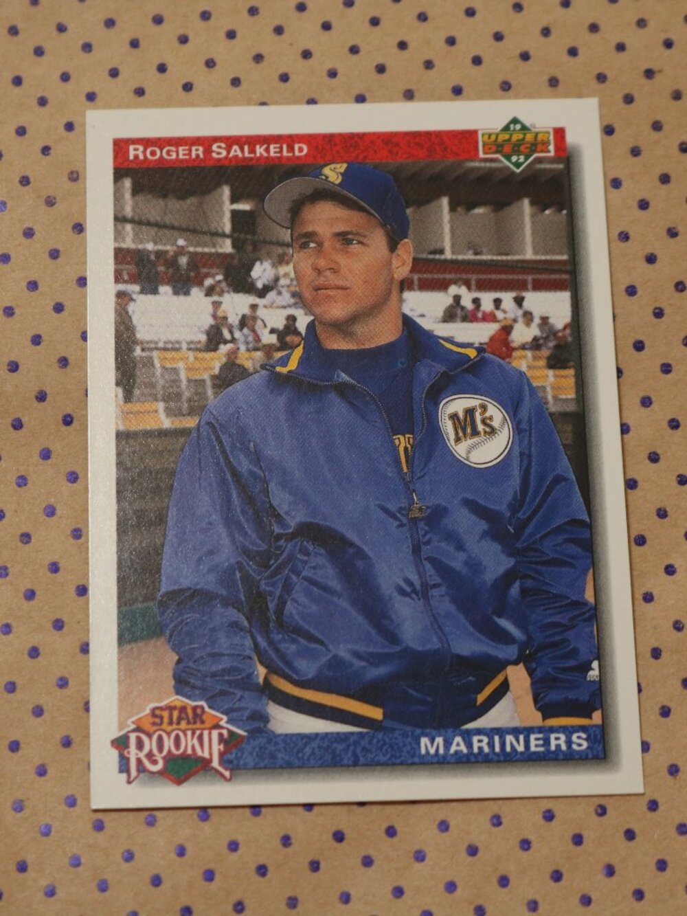 Roger Salkeld #15 Baseball Card (1991)